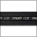   Street Cat